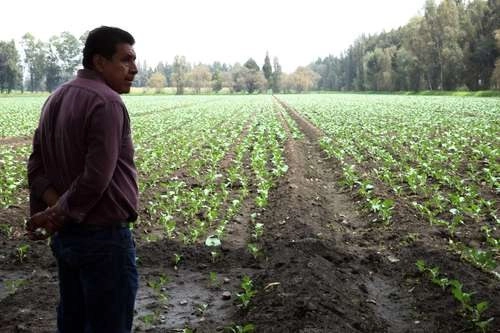 La próxima temporada de lluvias se pondrá en marcha el proyecto de captación de agua para cultivo en Zacatecas y San Luis Potosí. Foto Jesús Villaseca