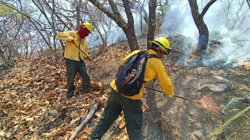 Brigadistas de la Conafor, así como personal del Centro Estatal de Emergencias y Contingencias Ambientales (CEECA) de la SDS, pernoctaron en Tilzapotla y reanudarán la atención este lunes en las primeras horas del día. Foto Facebook Centro Estatal Emergencias Contingencias Ambientales