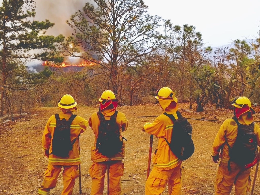 El clima, viento, sequía, calor y la orografía dificultaron los trabajos de combate al siniestro. La imagen, del 10 de mayo de 2024. Foto tomada de X @PC_GTO 