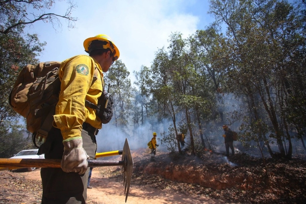 Dicho siniestro se ubica en el Ejido Aguaropachi y en los predios particulares El Zapote y Benjamín M. Chaparro, dentro del municipio de Chínipas. Foto Cuartoscuro