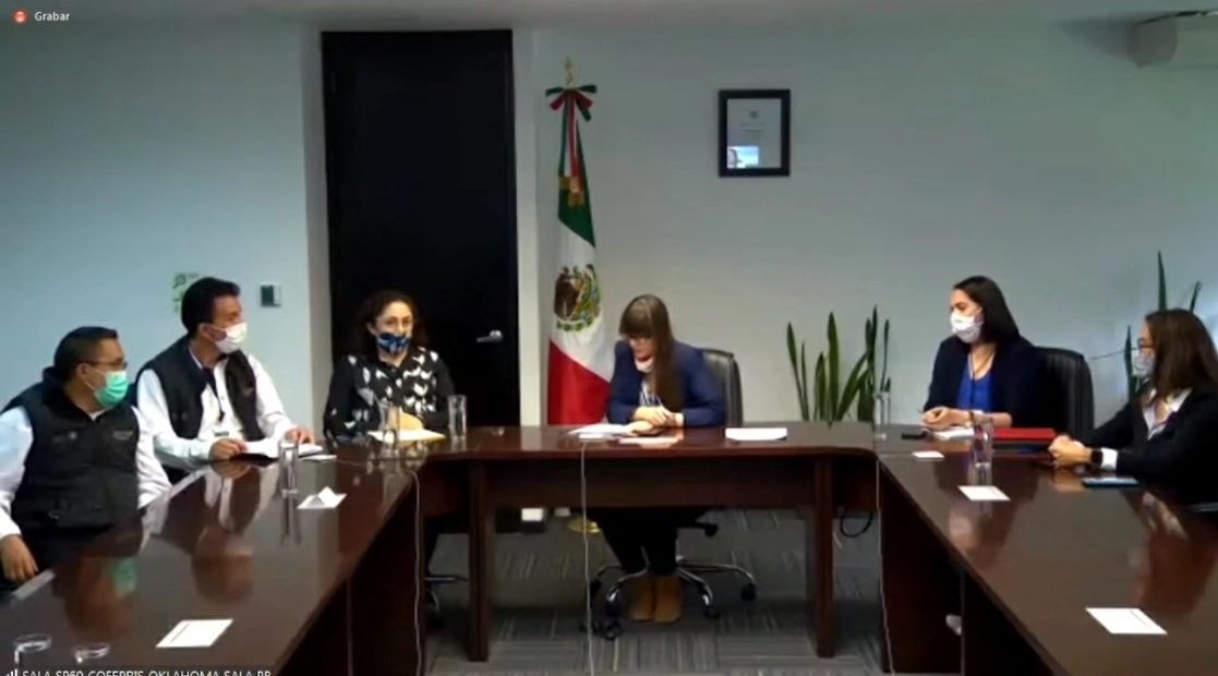 Autoridades de Cofepris sostuvieron una charla virtual sobre antisépticos tópicos. Fotograma tomado del video emitido por Cofepris