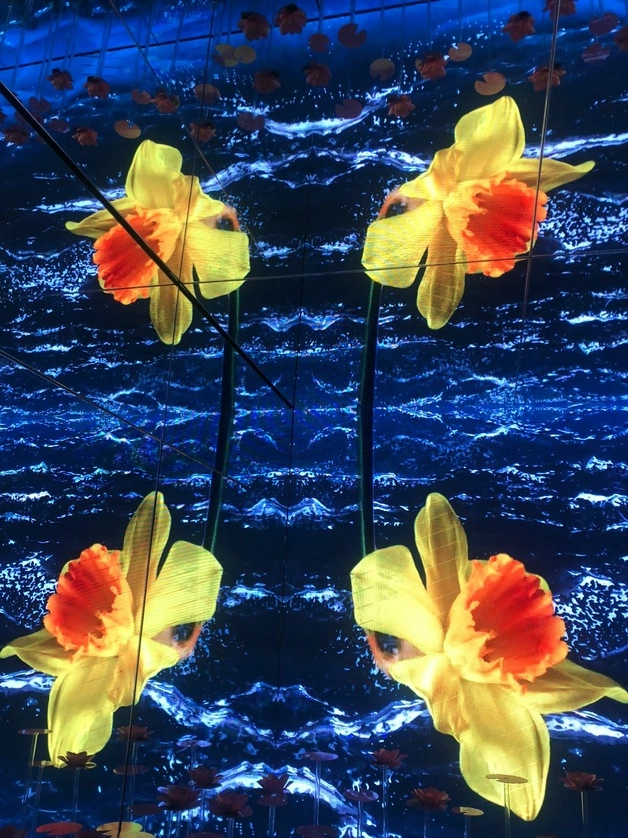 El espectáculo multisensorial Monet & Friends Life, Light & Color sigue abierto al público. Foto La Jornada