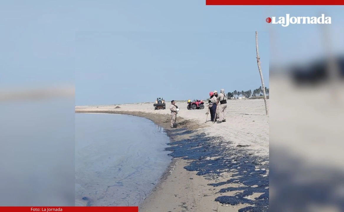 La actividad pesquera poco a poco regresa a su normalidad en las costas paraiseñas, sobre todo entre aquellos que no sufrieron daños mayores en sus arreos de trabajo.