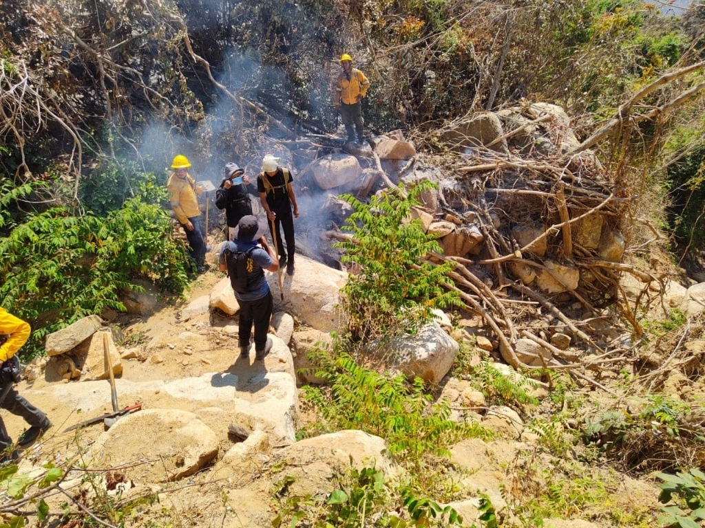 Hasta el momento han sido dañadas más de 320 hectáreas por los incendios forestales registrados desde el martes pasado en Acapulco. Foto Facebook Coordinación General de Protección Civil y Bomberos Acapulco