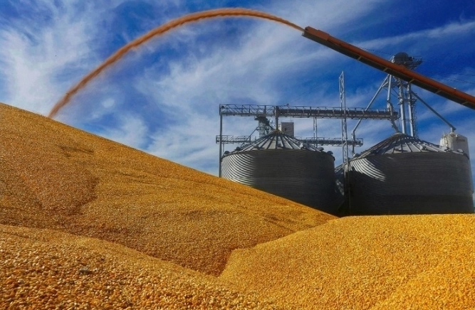 Depósito de maíz amarillo en Illinois, Estados Unidos. Foto Ap / Archivo