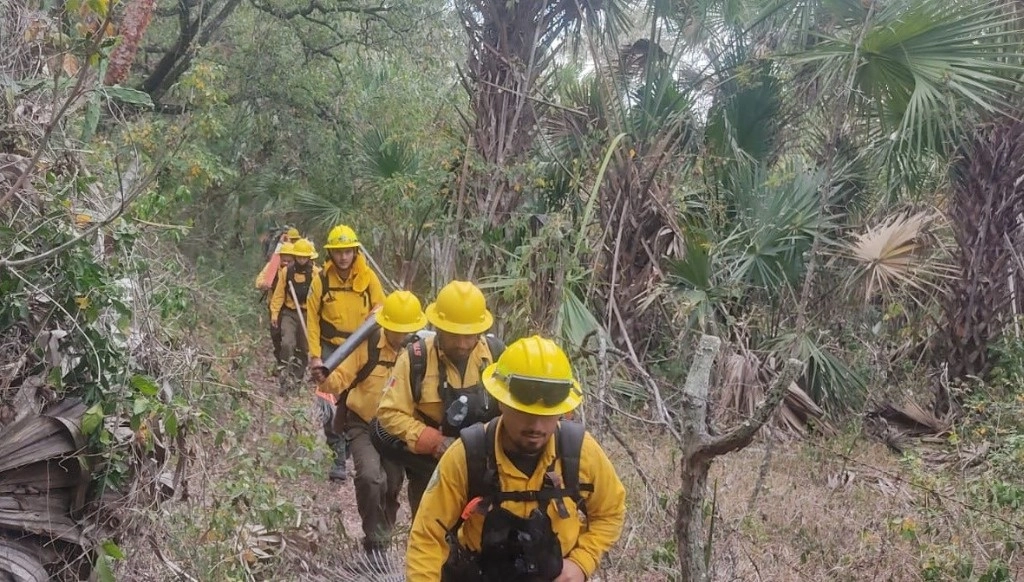 Brigadistas realizan labores de contención de las llamas en la parte alta de la Sierra de San Miguelito, en SLP. Foto Tomada de X @SEGAM_SLP