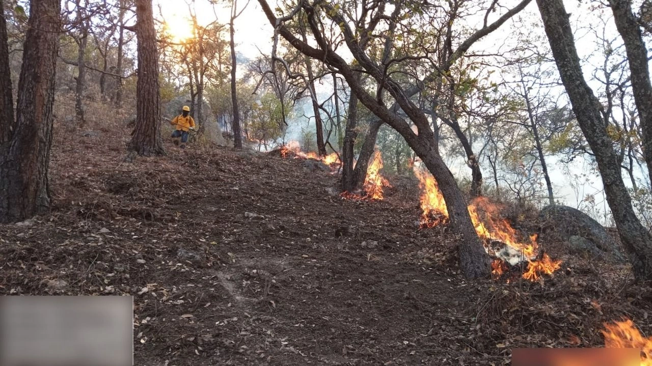 Los trabajos siguen de manera ininterrumpida hasta lograr la liquidación total del incendio, con una estrecha colaboración entre los equipos de Guanajuato y Michoacán, concluyó. Foto