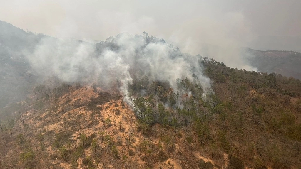 Este sábado se integraron al equipo de trabajo el personal proveniente de la Gerencia de Manejo del Fuego y del Centro Regional de Manejo del Fuego Occidente. Foto Protección Civil SLP