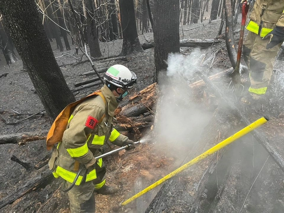 Bomberos han controlado el incendio forestal en Ofunato, Japón; es el peor siniestro registrado en la nación oriental en 50 años. Foto 