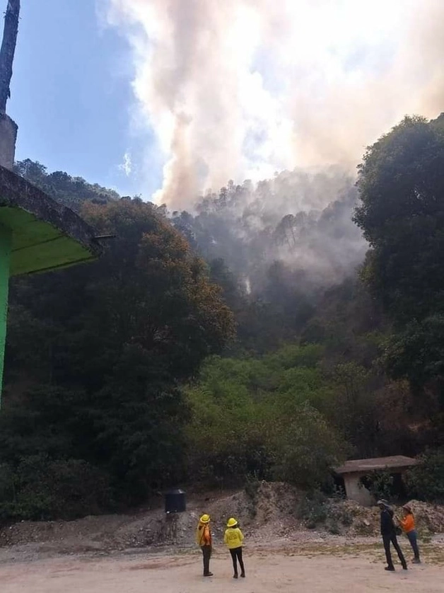Luego de cuatro días, pudo ser controlado el incendio en el Parque Nacional Los Mármoles en Hidalgo. Foto La Jornada