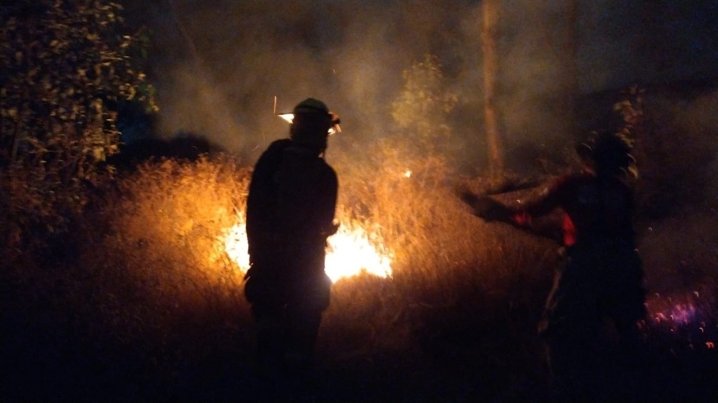 Personal que laboró en el control del incendio. Foto La Jornada