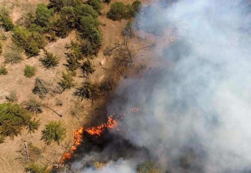 En las tareas participan más de 250 brigadistas de diversas dependencias, así como voluntarios de comunidades aledañas que se encuentran en la primera línea de ataque al fuego.