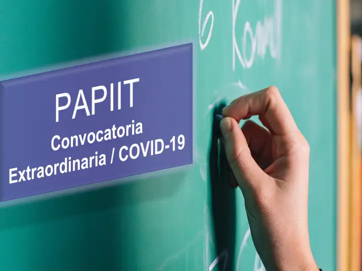 Además de los responsables, en los proyectos podrán participar otros académicos internos o externos a la UNAM, becarios posdoctorales, así como alumnos de licenciatura y de posgrado, internos o externos a la UNAM. Imagen tomada de https://dgapa.unam.mx/