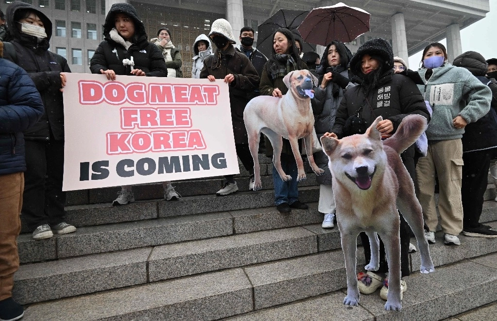 Activistas por los derechos de los animales se manifiestan a favor del proyecto de ley que prohíbe el comercio de carne de perro en Corea del Sur, al exterior de la Asamblea Nacional en Seúl, el 9 de enero de 2024. Foto Afp