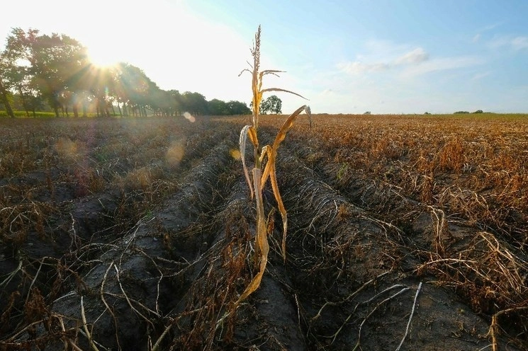 México, entre los países emergentes que podrían enfrentar crisis climáticas. Foto Afp / Archivo