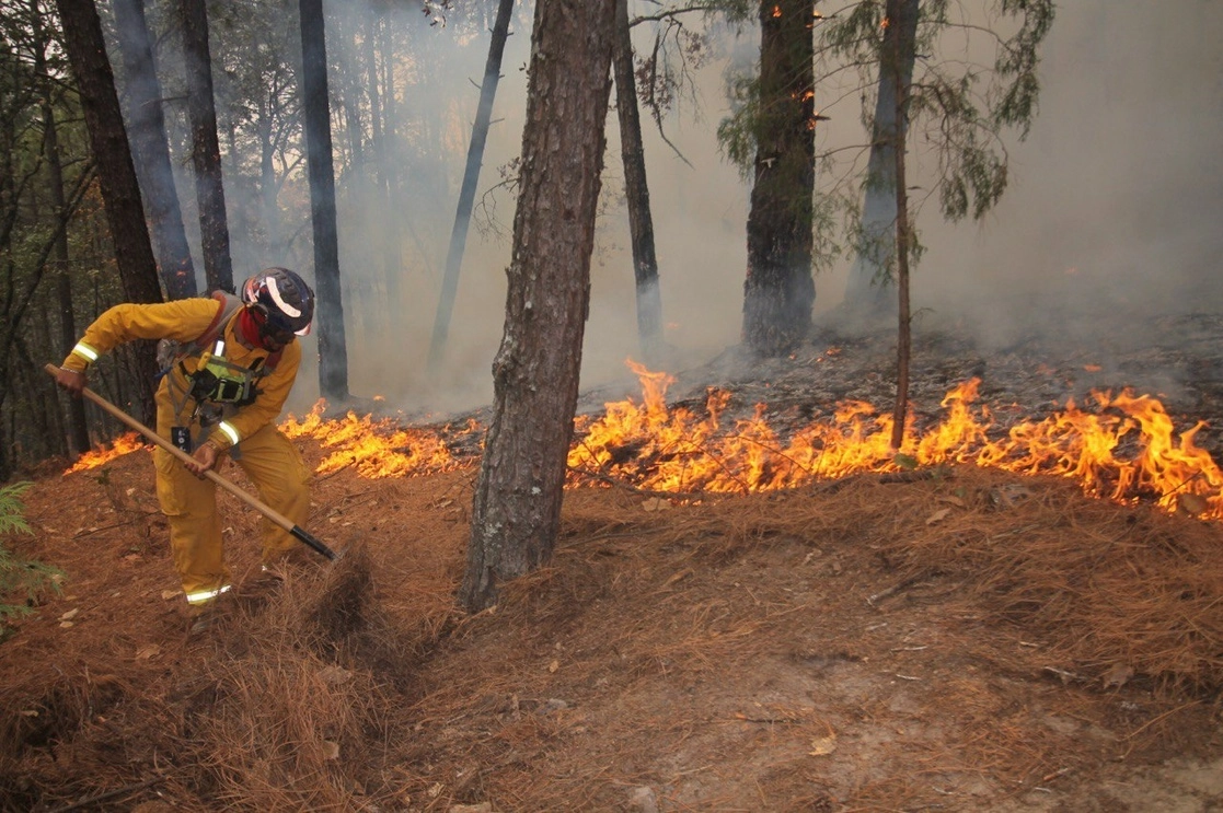 Ante la reciente ola de incendios en la zona serrana y el área urbana de NL y la persistente contaminación ambiental, estudiantes de la UANL crearon una espuma anti incendios, amigable con el medio ambiente. Foto ‘La Jornada’ / Archivo