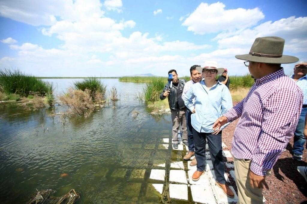 Autoridades de San Salvador Atenco y de Ecatepec acodaron impulsar proyectos como la creación de humedales. Foto Javier Salinas
