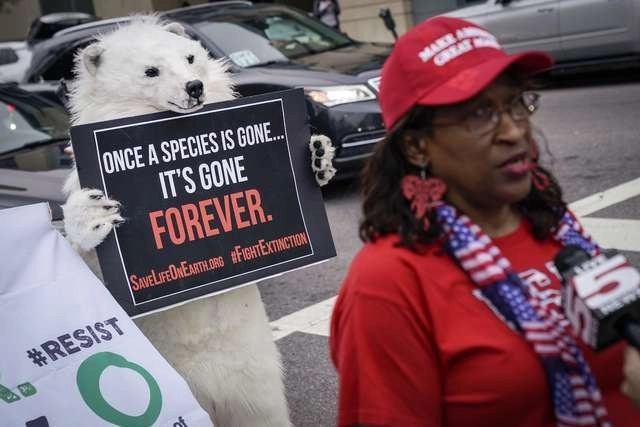 Manifestación en defensa de los osos polares y contra el cambio climático en Charleston, Carolina del Sur, en imagen de archivo. Foto Afp 