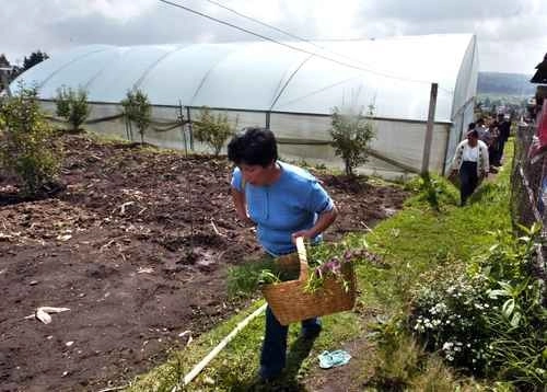 La información se basa en el primer Diagnóstico de Cobertura del Servicio Móvil en las zonas agrícolas de México, realizado por el IFT. Foto José Carlo González/ Archivo