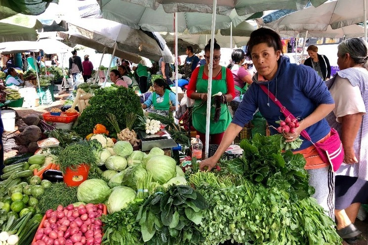 Venta de hortalizas en Xochimilco. Foto Luis Castillo
