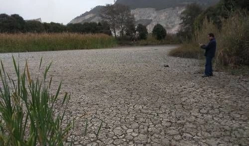 La ciudad de San Cristóbal de las Casas ha perdido más de 60 por ciento de humedales a causa de la urbanización, demanda de agua y la deforestación. Foto @aguaorgmx
