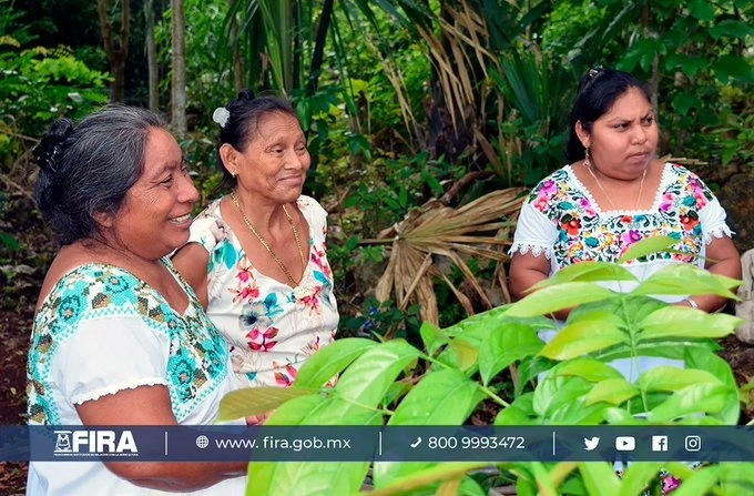 Mujeres agricultoras en imagen tomada de Fira México.