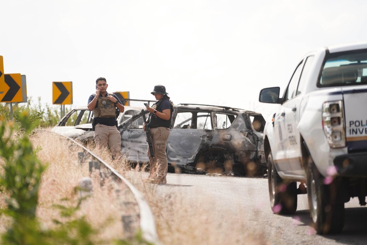 Simón Vargas Aguilar*