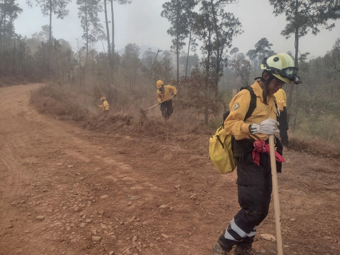 Protección Civil de Michoacán reportó el combaye a los incendios forestales registrados en el "Cerro del Tariaqueri" en Tzintzuntzan y en el "Cerro del Cobrero" en Ziracuaretiro, el pasado 2 de mayo. Foto tomada del Twitter de @pcmichoacan
