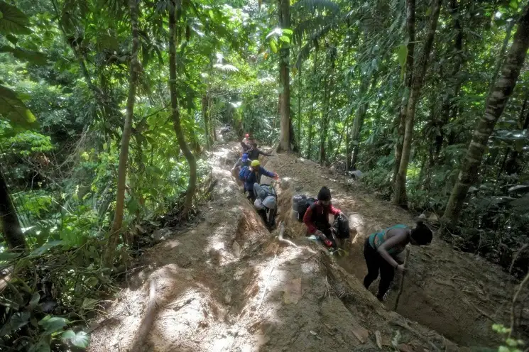 La selva, que sirve de límite entre Centro y Sudamérica, está llena de animales salvajes, ríos caudalosos y organizaciones criminales que asaltan a los indocumentados o les exigen pagos para guiarlos, por lo que muchos mueren en el trayecto sin que haya un número oficial de decesos por la falta de denuncias y el abandono de los cuerpos. Foto Afp