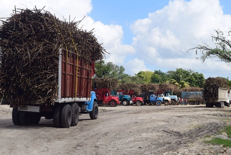 Cañeros en Chetumal, Quintana Roo en imagen de archivo. Foto Fernando Eloy/ La Jornada Maya