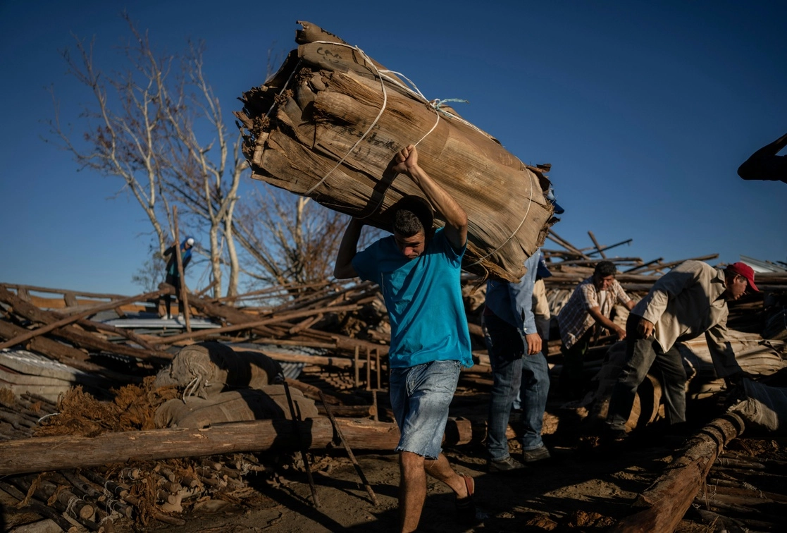 Trabajadores recuperan tabaco de un secadero que fue destruido por el huracán 'Ian' en La Coloma, provincia de Pinar del Río, Cuba, el pasado miércoles 5 de octubre. Foto Ap