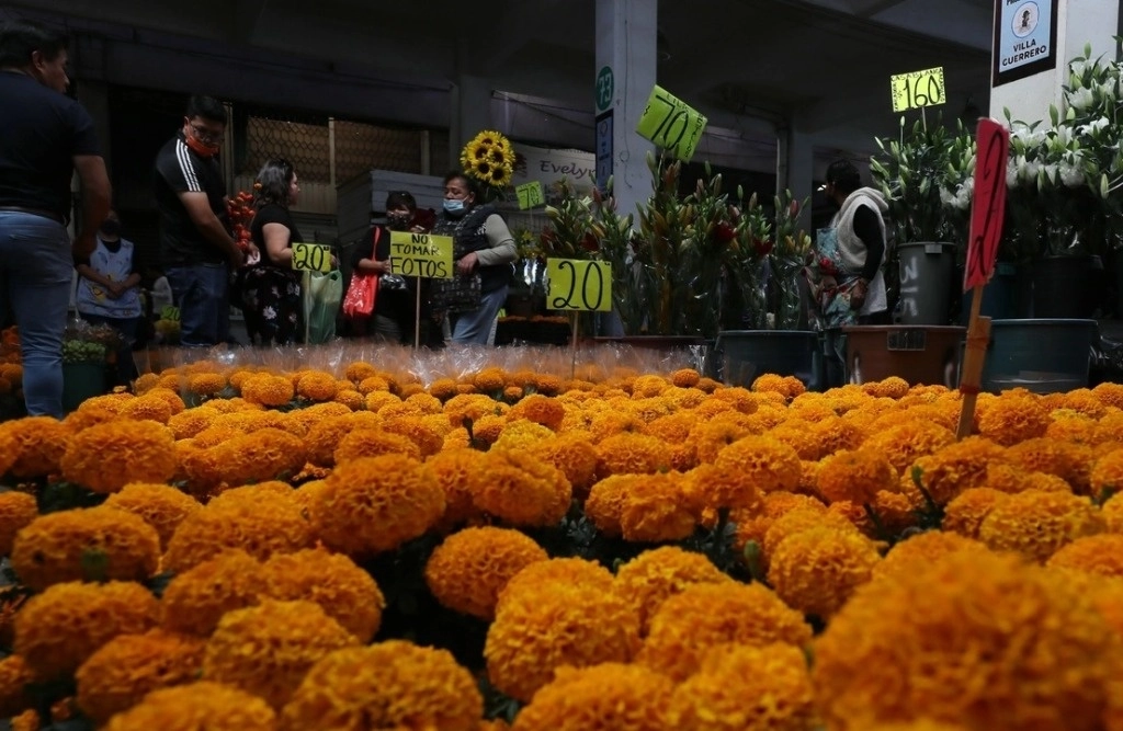 Hasta el momento se tienen resguardadas 30 variedades de cempasúchil, una de ellas proviene del ramo que se encontraba en la ofrenda y tendría 2000 años de antigüedad. Foto Roberto García Ortiz / Archivo