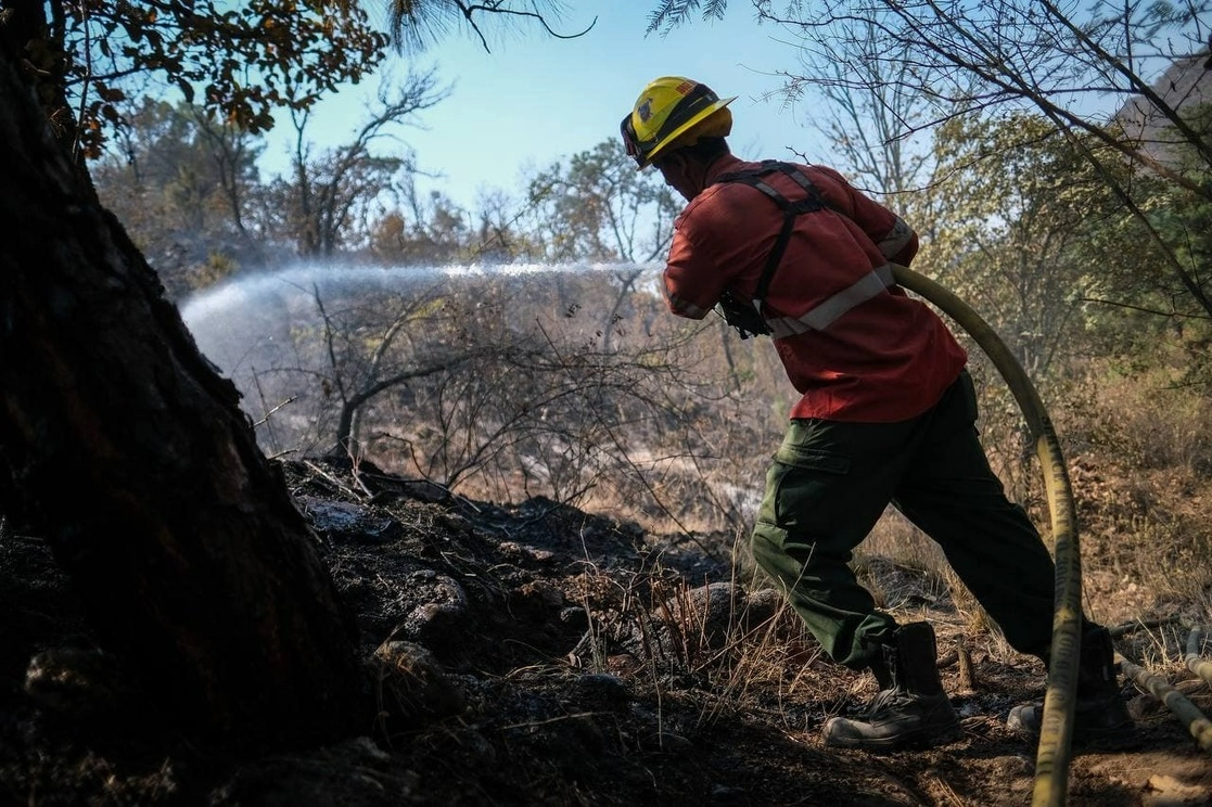 Un bombero intenta apagar el fuego en el bosque jaliciense. Foto @EnriqueAlfaroR/ Archivo