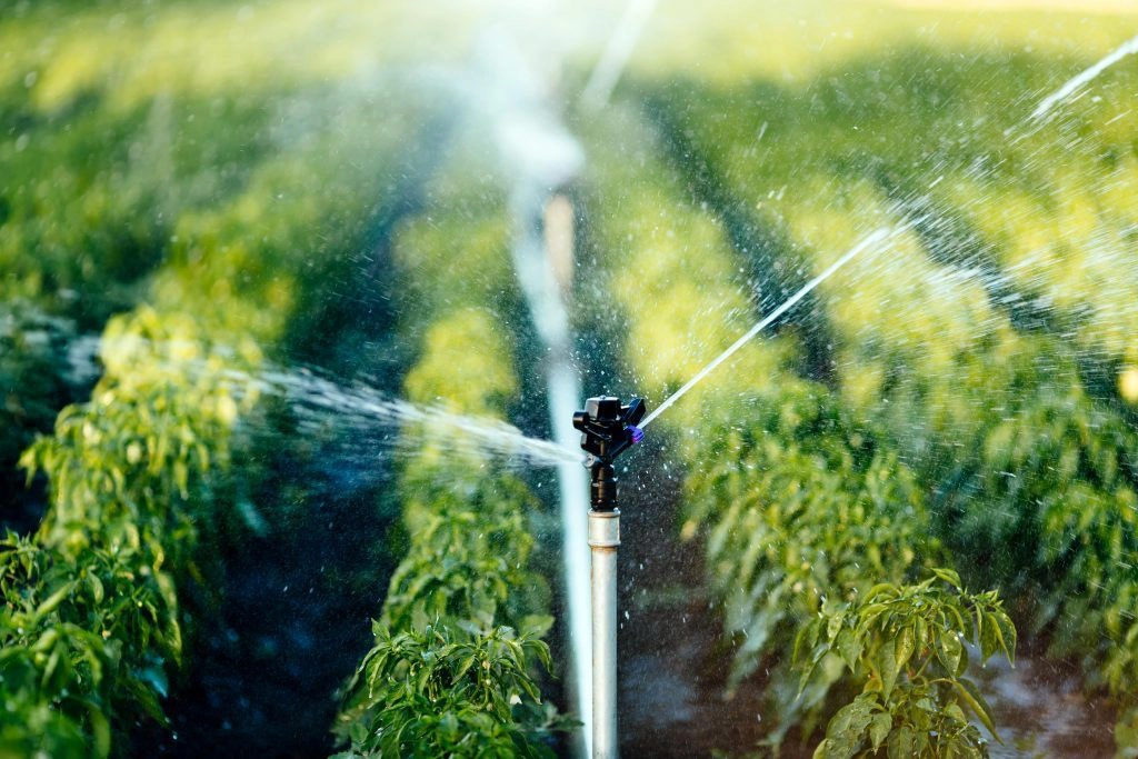 Daniel Madariaga Barrilado subrayó que la integración de la IA en la agricultura es un paso esencial para enfrentar los desafíos globales relacionados con la sostenibilidad y la seguridad alimentaria. Foto cortesía.