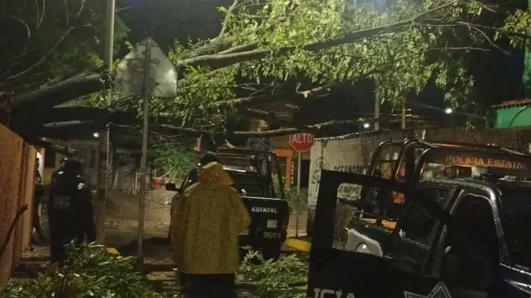 Una tormenta ocurrida la tarde y noche del sábado derribó decenas de árboles y algunos postes de electricidad, lo que dejó sin este servicio a miles de ciudadanos de diferentes colonias en Tepic, Nayarit. Foto ‘La Jornada’
