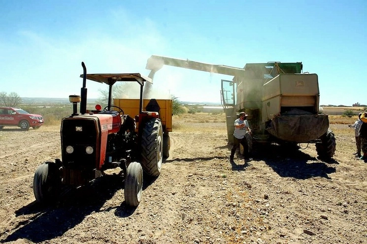 Productores de frijol de Zacatecas. Foto Alfredo Valadez