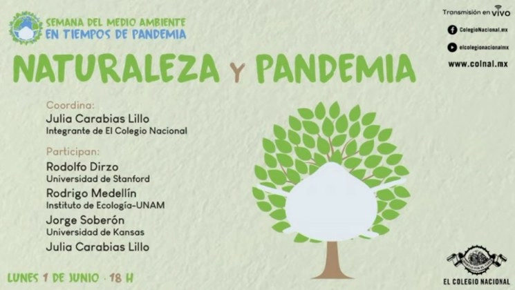 Imagen tomada de la transmisión de Youtube de los Diálogos Naturaleza y Pandemia organizados por el Colegio Nacional