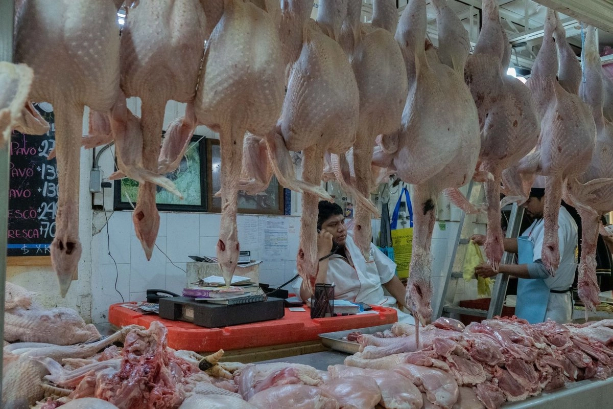 En México, el 90 por ciento de pavo que se consume proviente de países como Estado Unidos, Brasil y Chile. Foto 