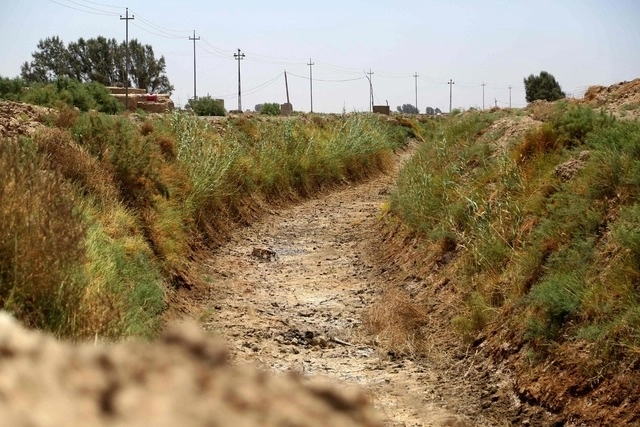 “Esta larga sequía ha sido dura para muchos agricultores de Rhode Island, lo que ha perjudicado la producción y la calidad de las cosechas”. Foto Afp