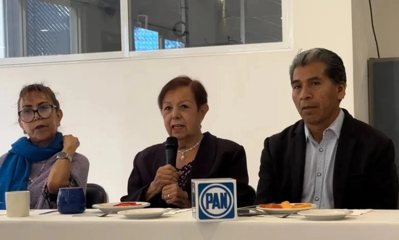 Perla Woolrich presidenta del PAN en Oaxaca en imagen de archivo de su perfil de X.