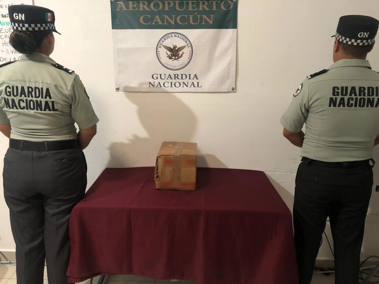 Elementos de la Guardia Nacional decomisaron un envío con 27 piezas de buche de totoaba, en el Aeropuerto Internacional de Cancún. Foto cortesía de la GN
