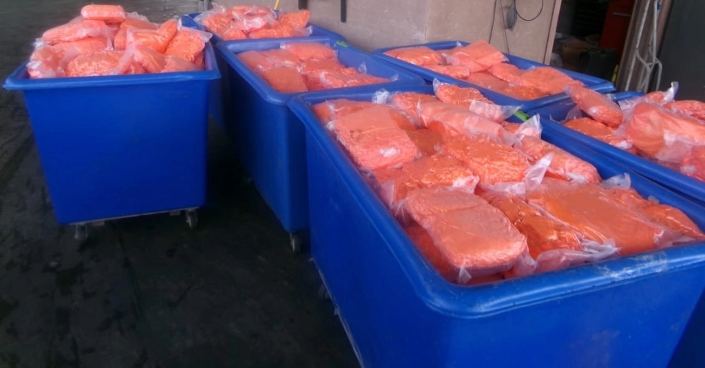 Oculto entre contenedores de plástico con bolsas de zanahorias procedentes de Tijuana, un cargamento de metanfetamina fue asegurado en la garita de Otay Mesa. Foto La Jornada.