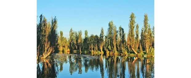 Xochimilco. Foto Tamara Blázquez Haik
