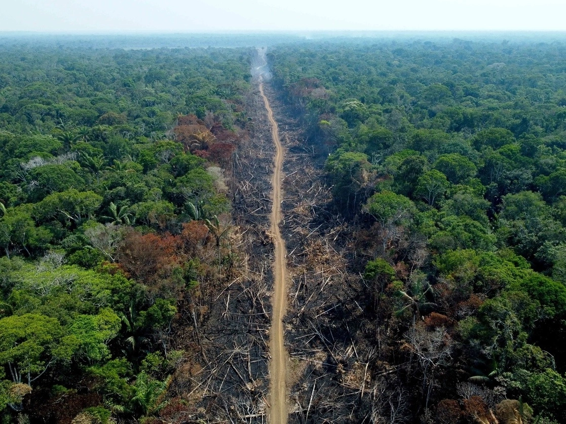 La deforestación en el Amazonas deriva en que la selva tropical absorba una menor cantidad de dióxido de carbono, el cual calienta el planeta. Foto 