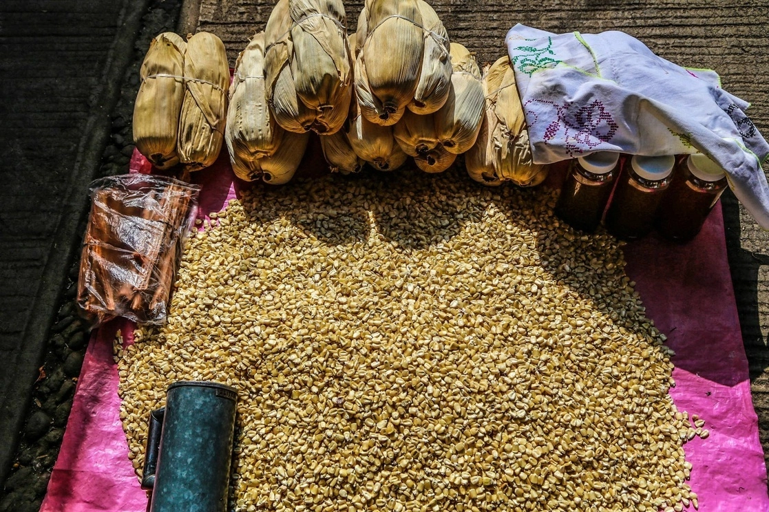 La producción del país cubre la demanda nacional de maíz blanco para consumo humano, pero depende de compras al exterior para abastecer al sector pecuario. Foto Cuartoscuro / Archivo