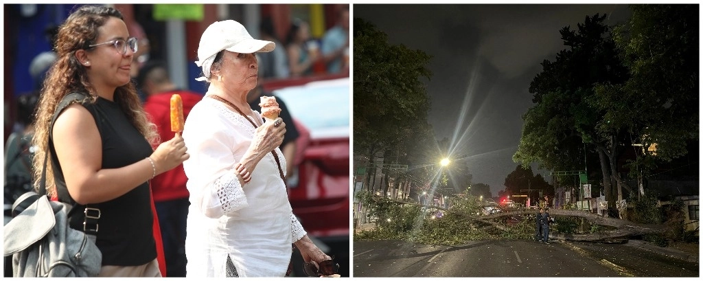 Ayer en la Ciudad de México el termómetro marcó 34 grados Celsius y por la noche el viento tiró al menos 6 árboles, dos en la Alcaldía Benito Juárez. Fotos María Luisa Severiano y Víctor Camacho 