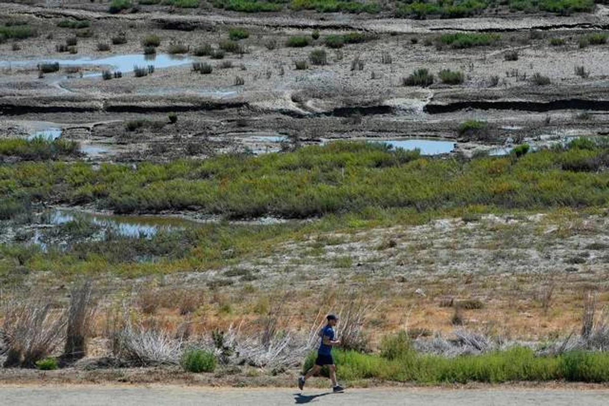 EU ha revertido, o se encuentra en proceso de hacerlo, una serie de políticas ambientales que se consideraban centrales en sus “luchas contra el cambio climático. Foto 