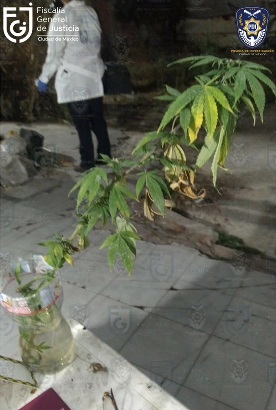 Esto es parte de lo que la policía dijo haber encontrado. Foto FGJ-CDMX