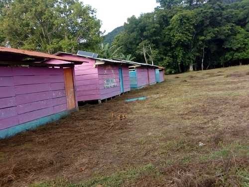 Integrantes de la Orcao prendieron fuego a salones de la Escuela Secundaria Autónoma Siguiendo el Caminar de los 2 Mártires, en Ocosingo. Foto ‘La Jornada’ / Archivo