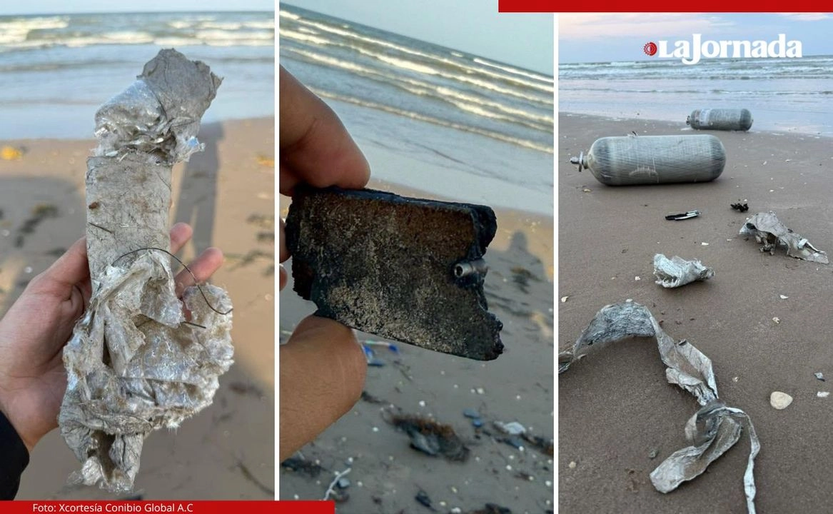Detalló cómo el material pone en riesgo a las crías de las tortugas por lo que exigió a la Procuraduría Federal de Protección al Ambiente que realice una inmediata investigación. Foto 
